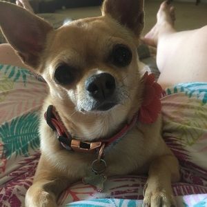 Meet your Posher, Michelle